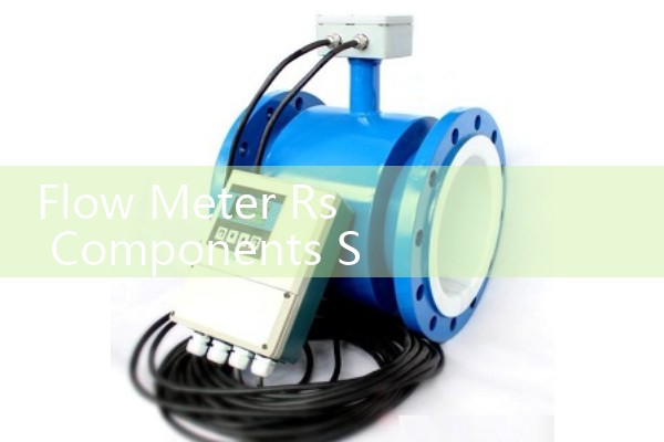 Flow Meter Rs Components Sourcing: Comparing Electronic and Mechanical Gauges